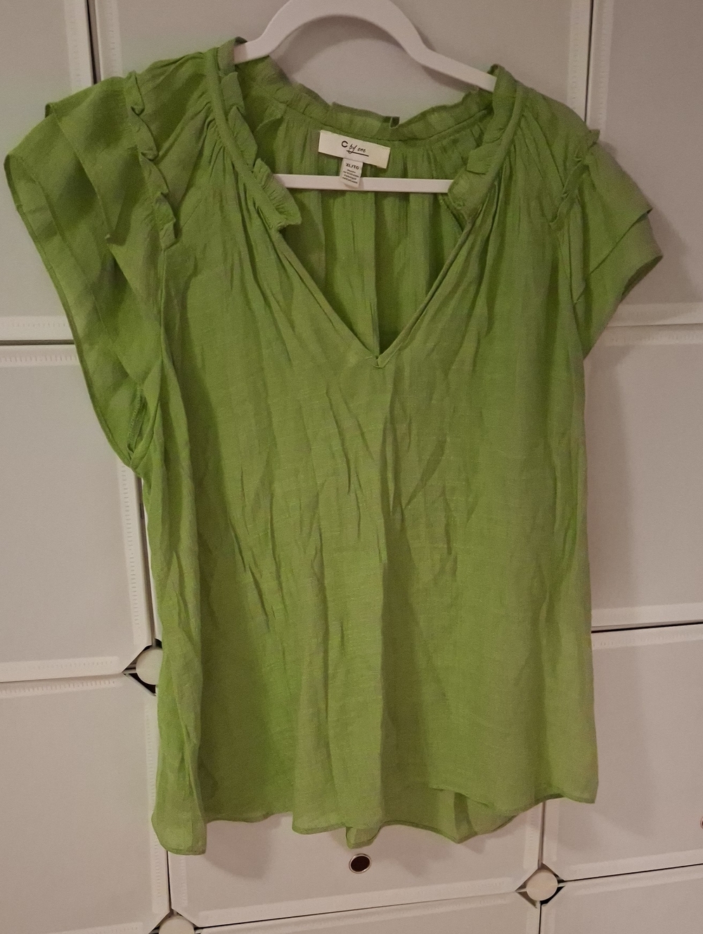 Light Green V-Neck Women’s Blouse with Short Flutter Sleeves